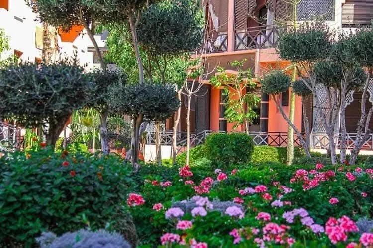 Welcome To Zinehome Marrakesh